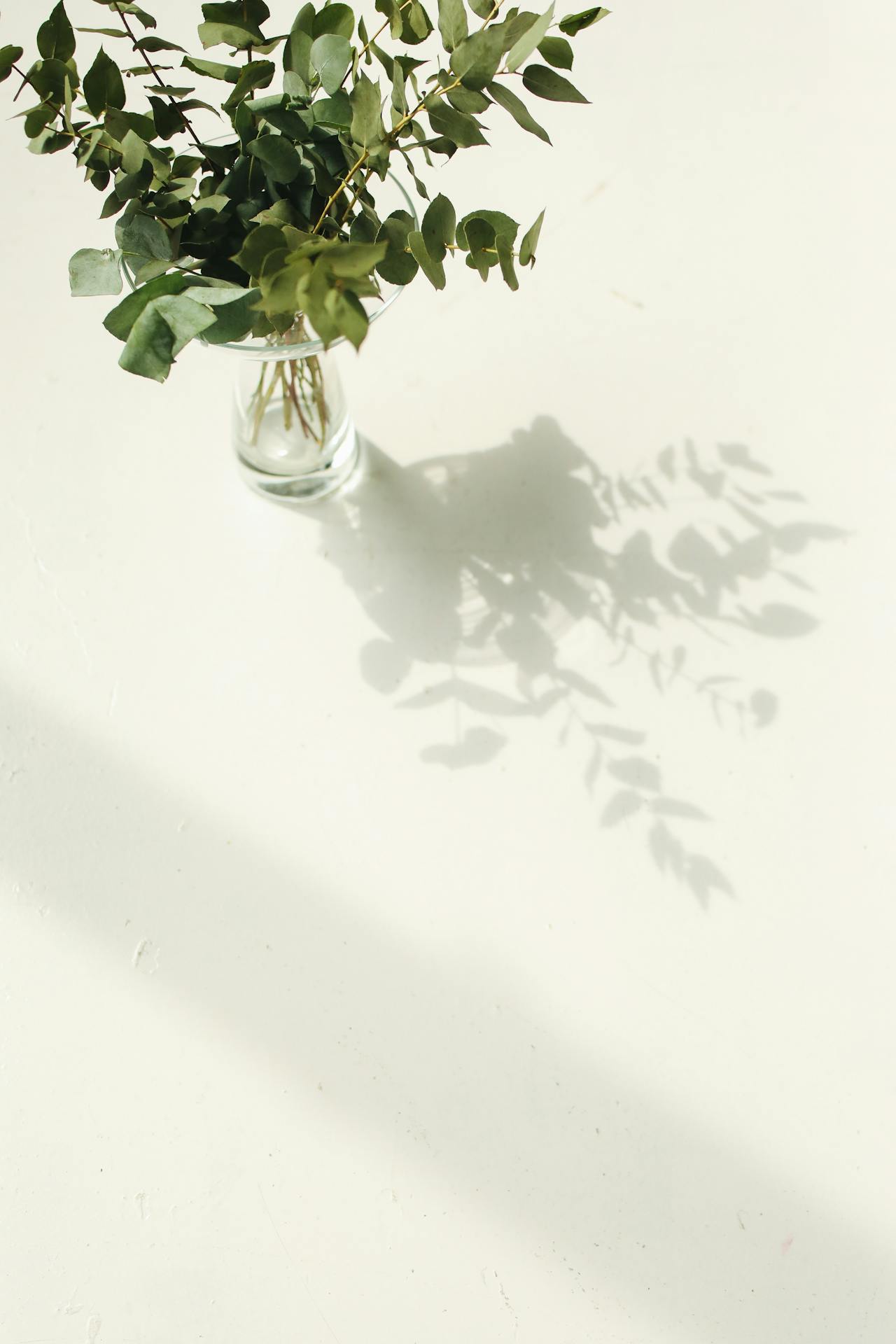 CFP Formation Annaba